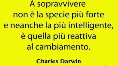 StartUP-News-Charles Darwin