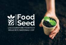 Food Seed Acceleratore Verona